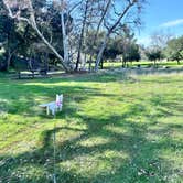 Review photo of East Bay Regional Park District Del Valle Family Campground by Clark G., February 25, 2024