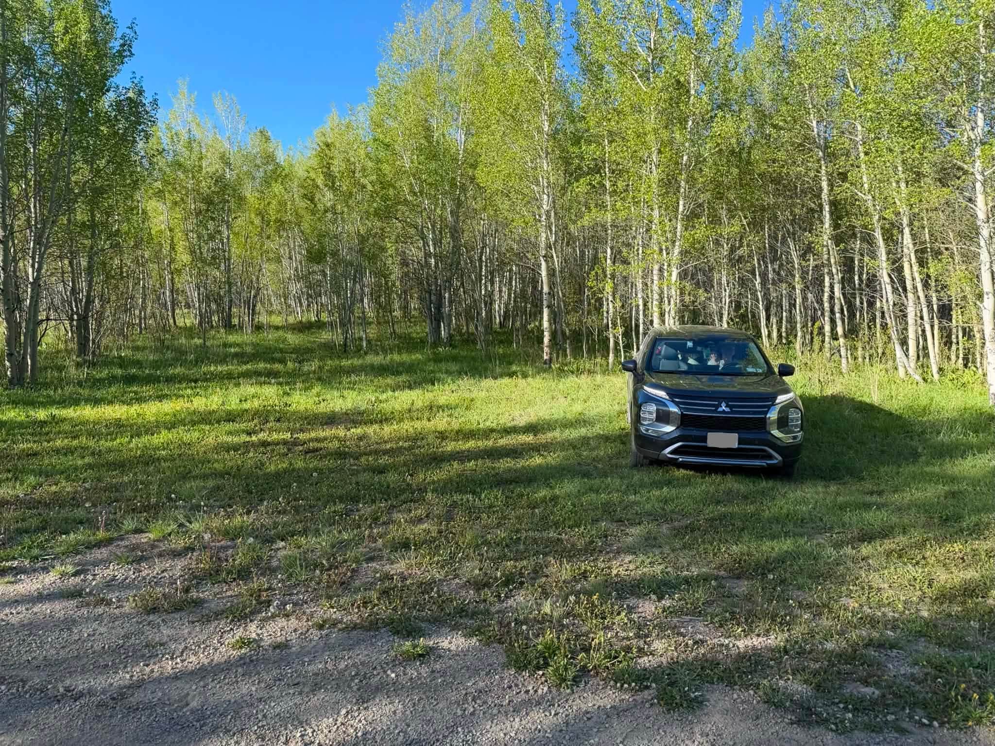 Camper-submitted photo at East Branch Willow Creek near Rand, CO