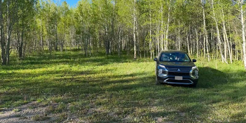 Camper submitted image from East Branch Willow Creek