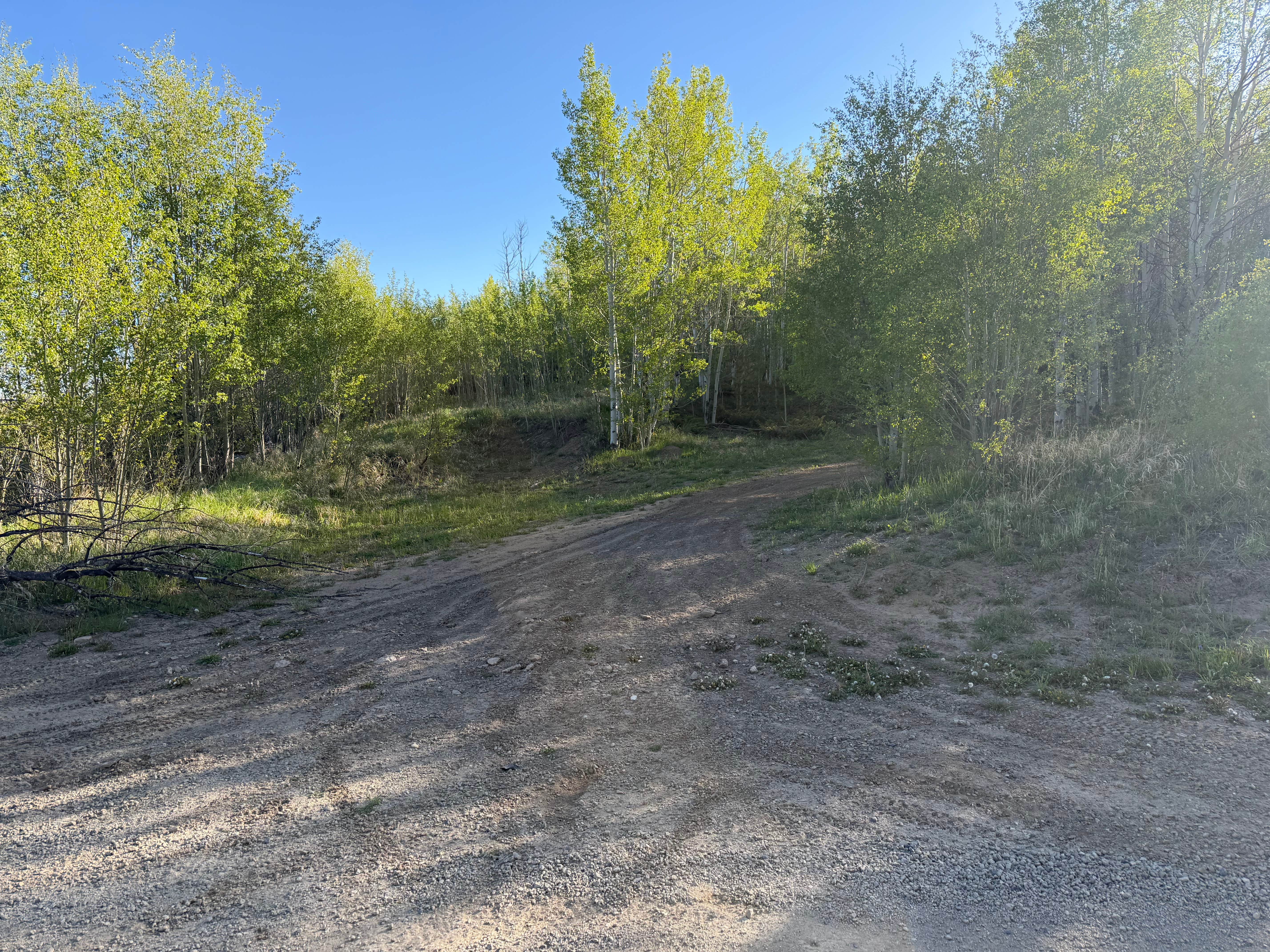 Camper-submitted photo at East Branch Willow Creek near Rand, CO