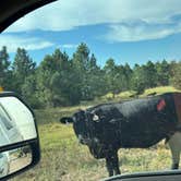 Review photo of East Campground — Smith Falls State Park by Tom , September 15, 2026