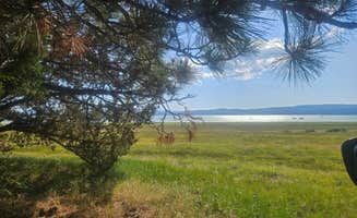 Gregg T.'s photo of a dispersed camping area at East Eagle Lake near Cassel, CA