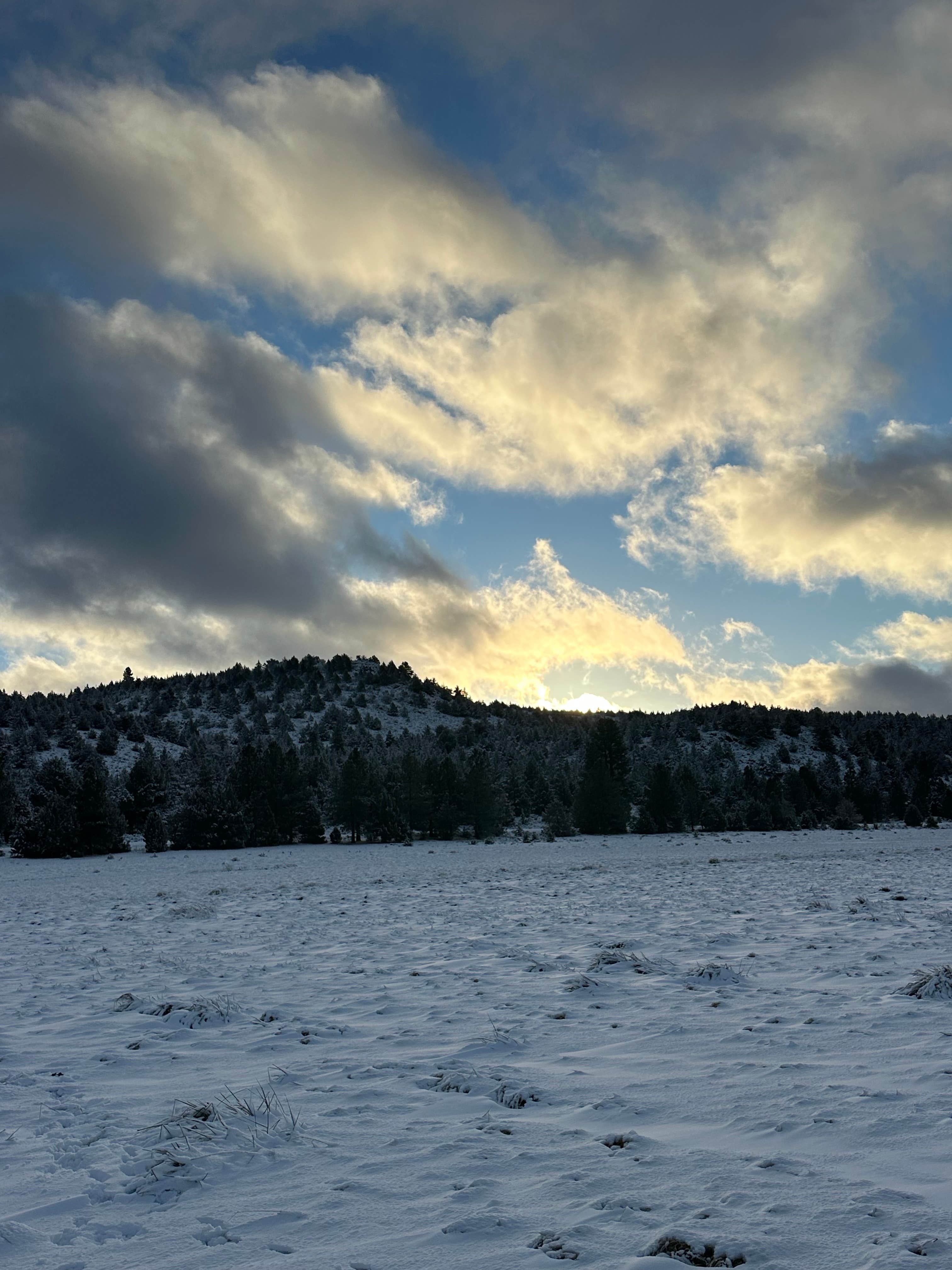 Camper-submitted photo at East Eagle Lake near Likely, CA
