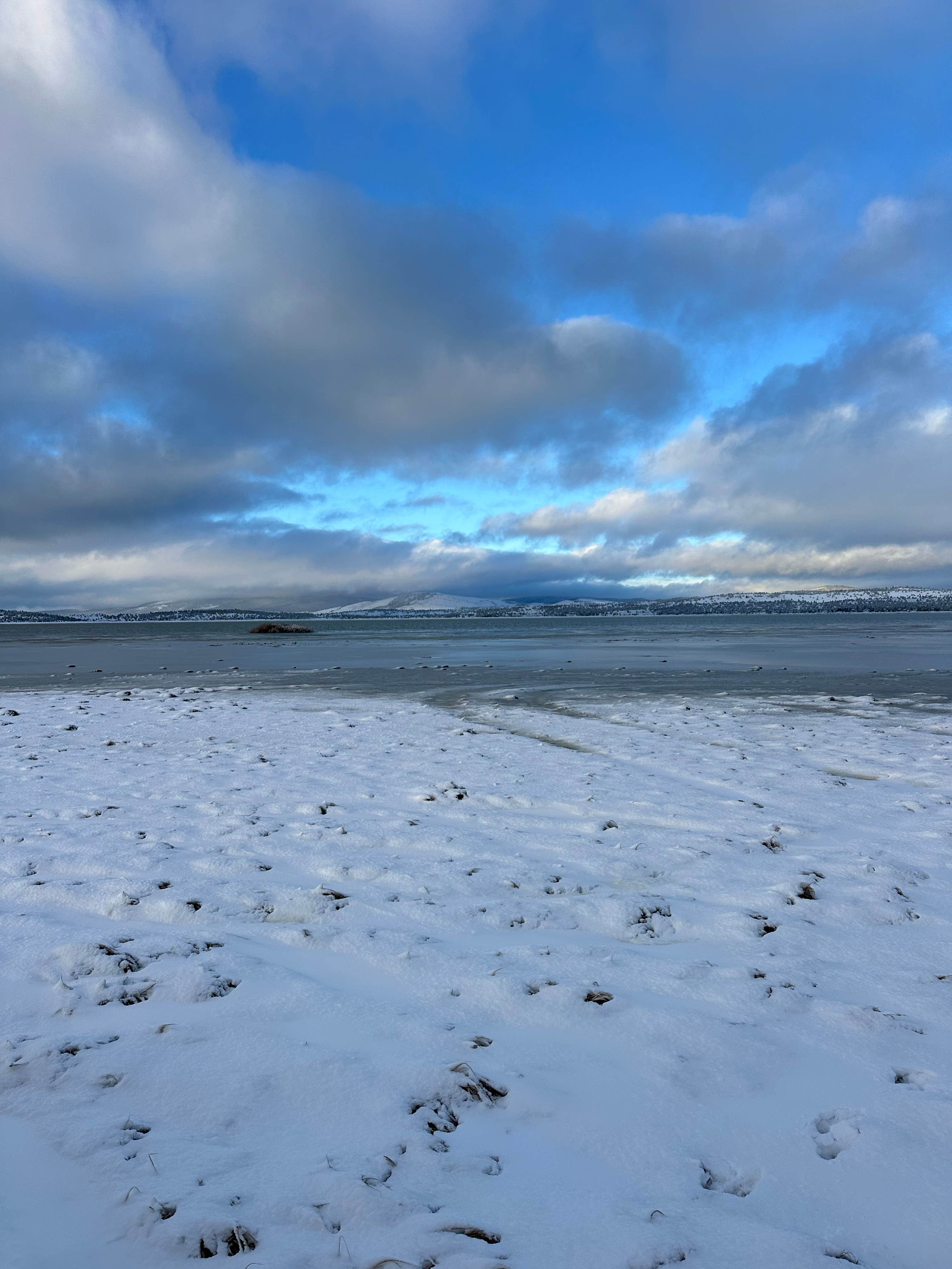 Izzy S.'s photo of a dispersed camping area at East Eagle Lake near Likely, CA