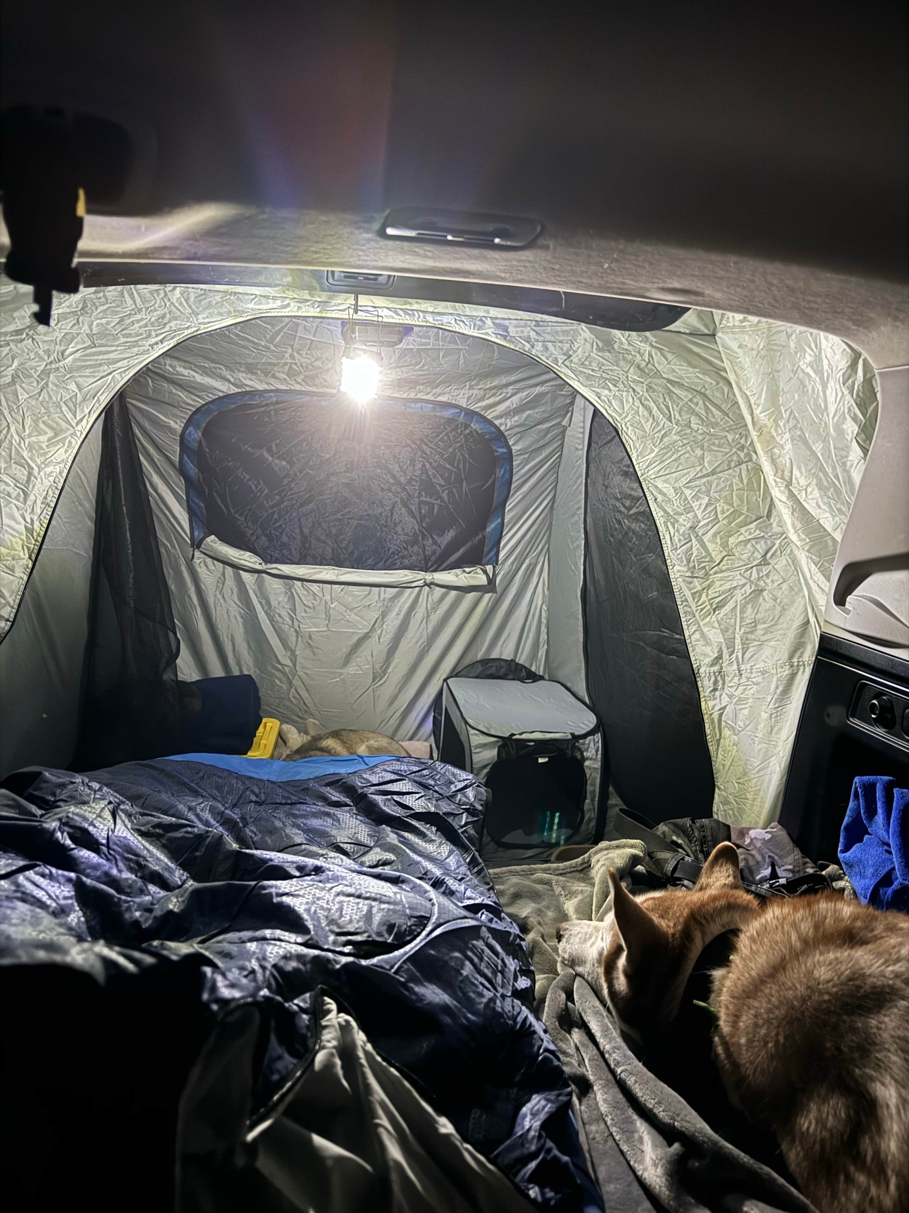 Camper-submitted photo at East Flats near Big Bear Lake, CA