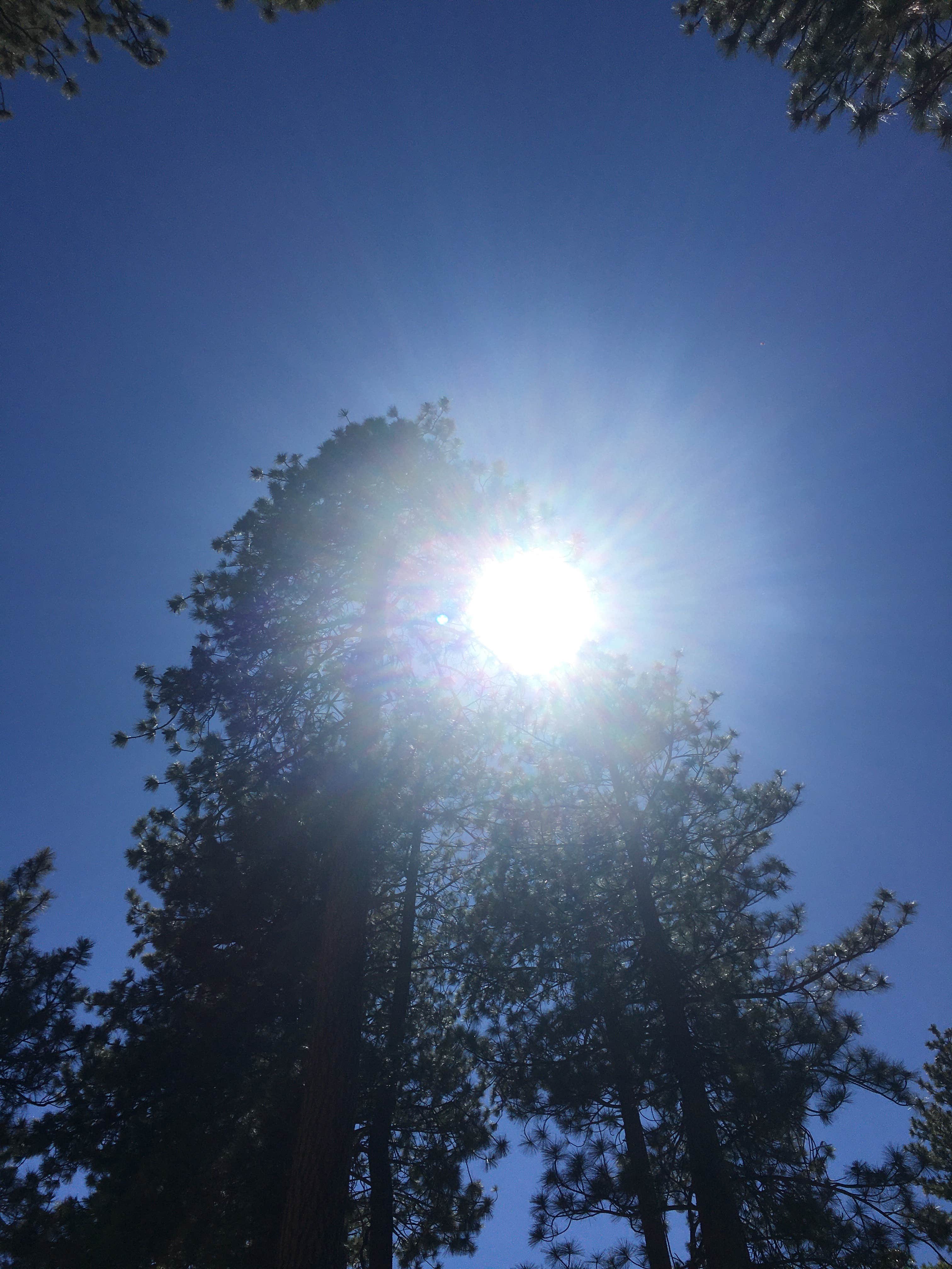 Chandra B.'s photo of a dispersed camping area at East Flats near Hesperia, CA