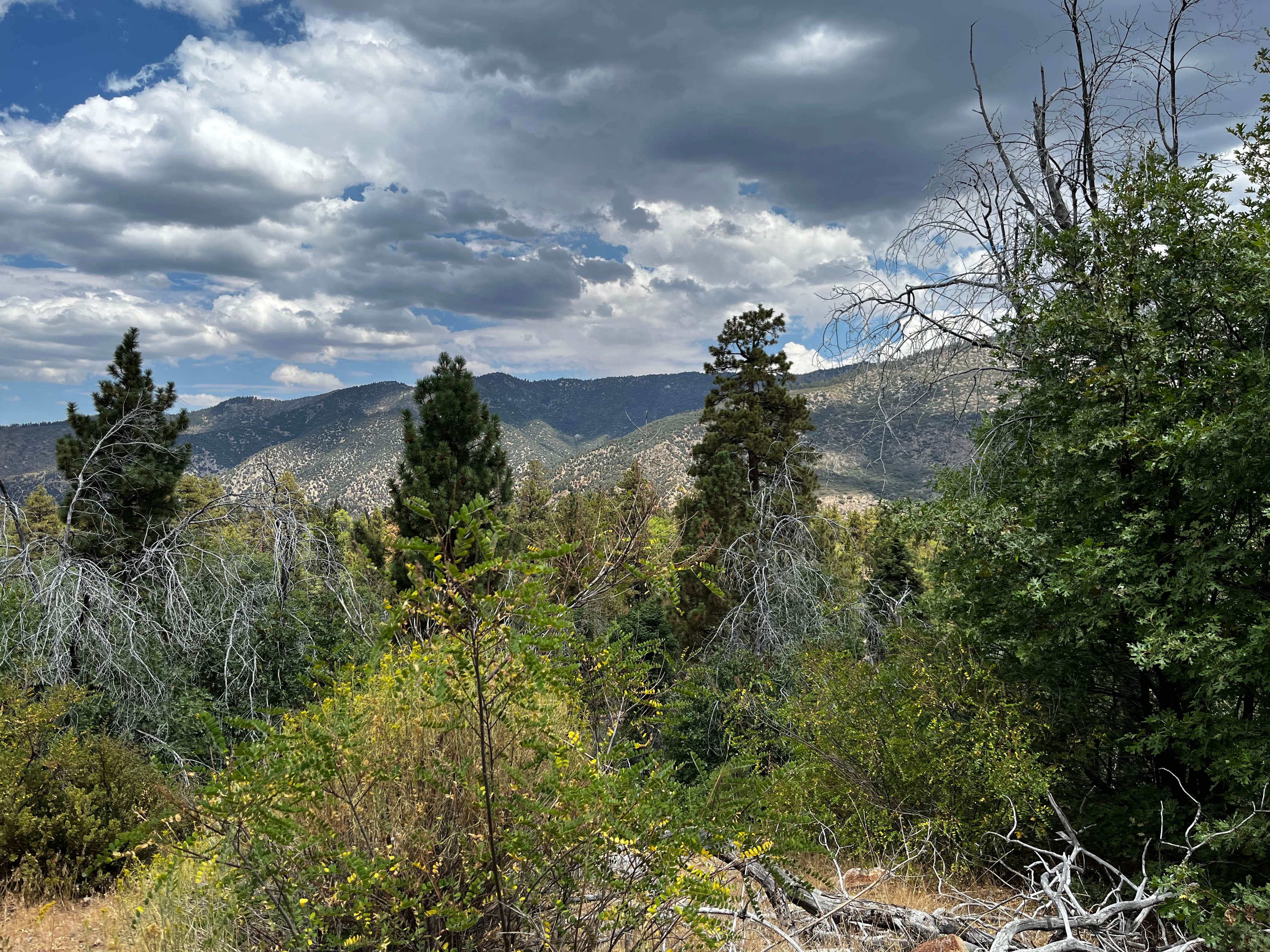 Andres V.'s photo of a dispersed camping area at East Flats near Big Bear Lake, CA