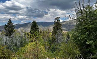 Andres V.'s photo of a dispersed camping area at East Flats near Idyllwild-Pine Cove, CA