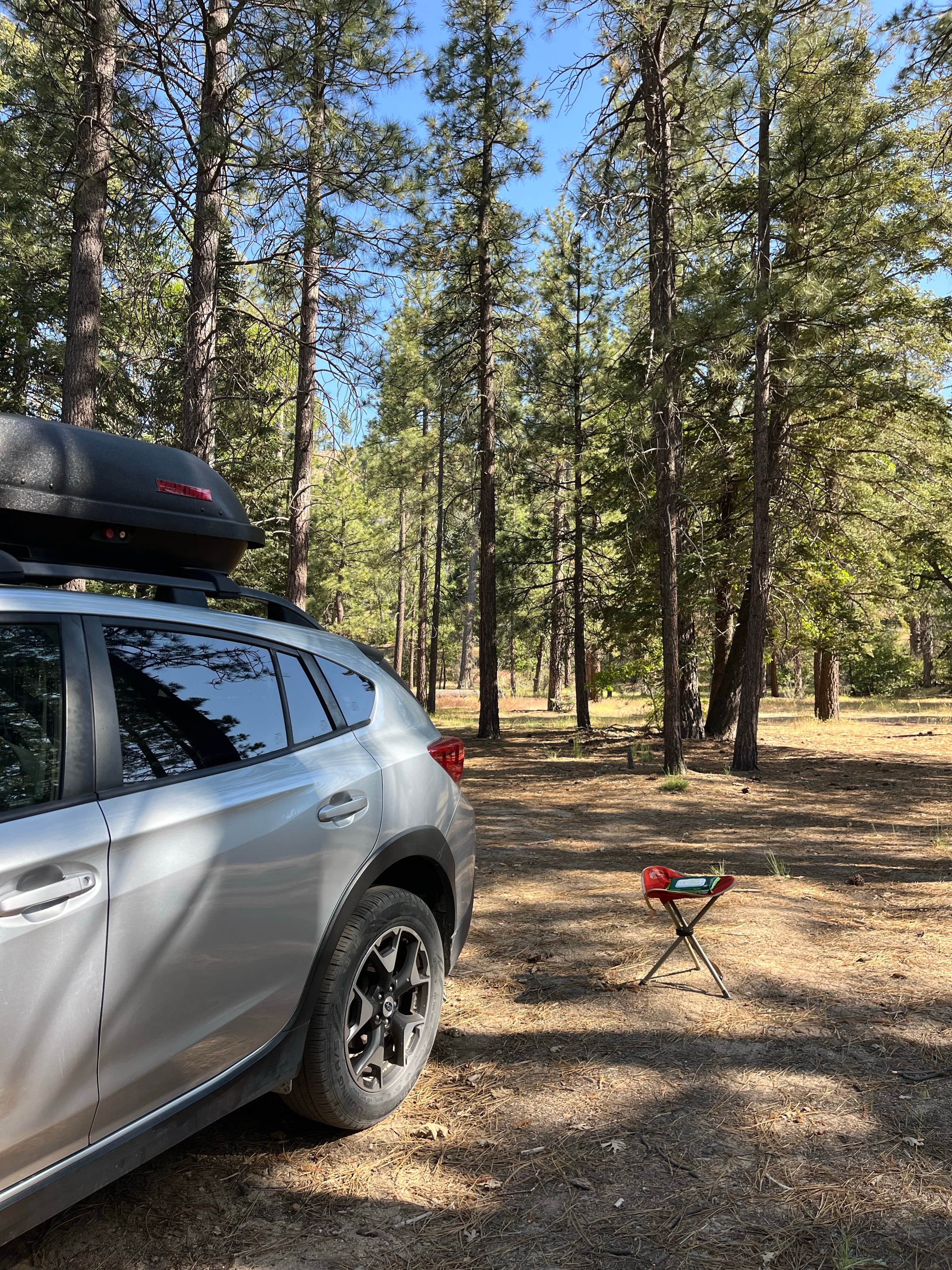 Alexis O.'s photo at East Flats near Angelus Oaks, CA