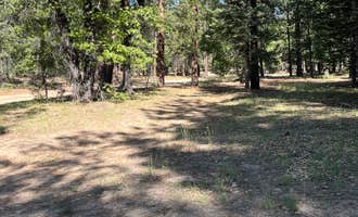 Camping near Halfway Camp: East Flats, San Bernardino National Forest, California