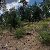 Review photo of East Flats by Andres V., August 23, 2025