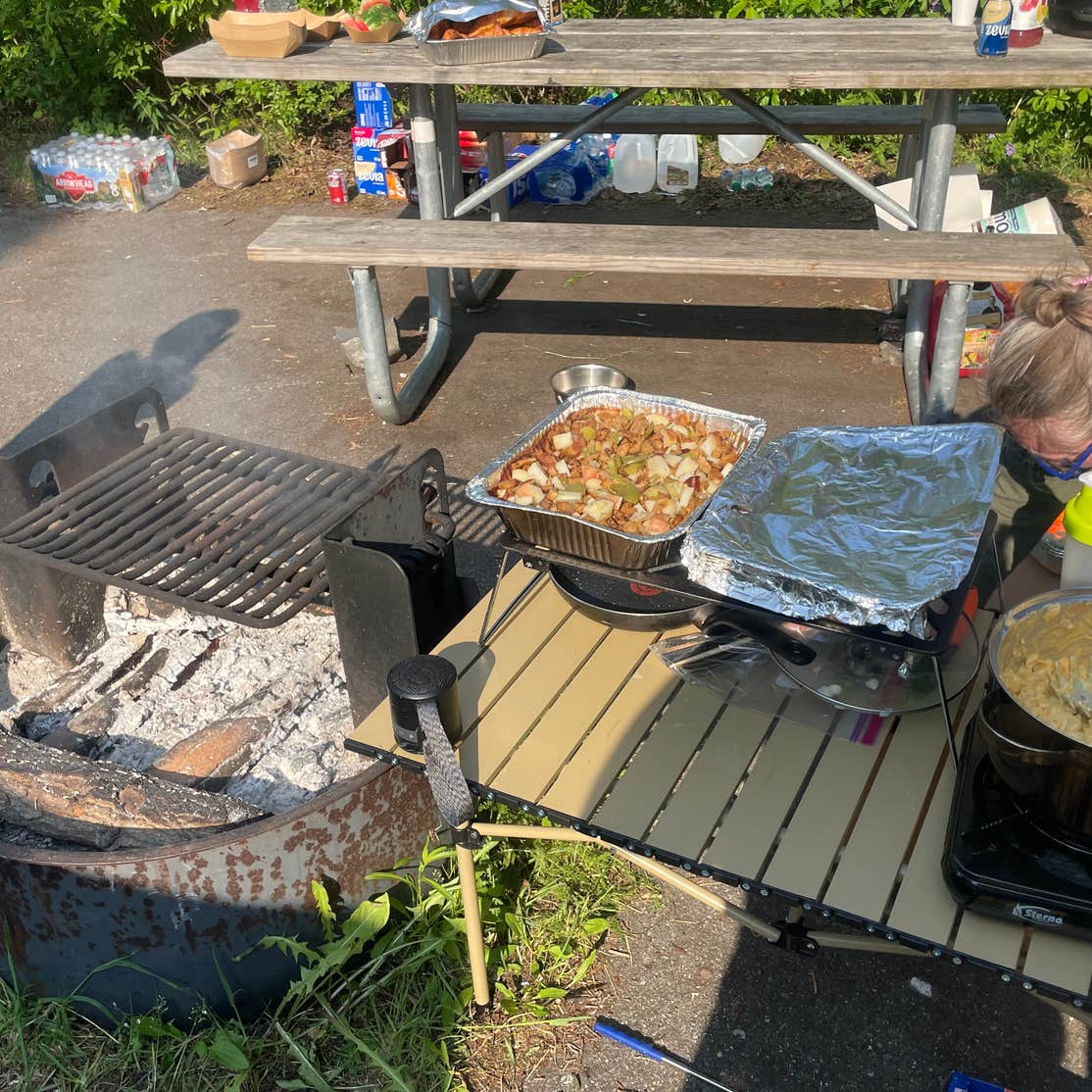 East Fork Chulitna Wayside Camping Cantwell, AK