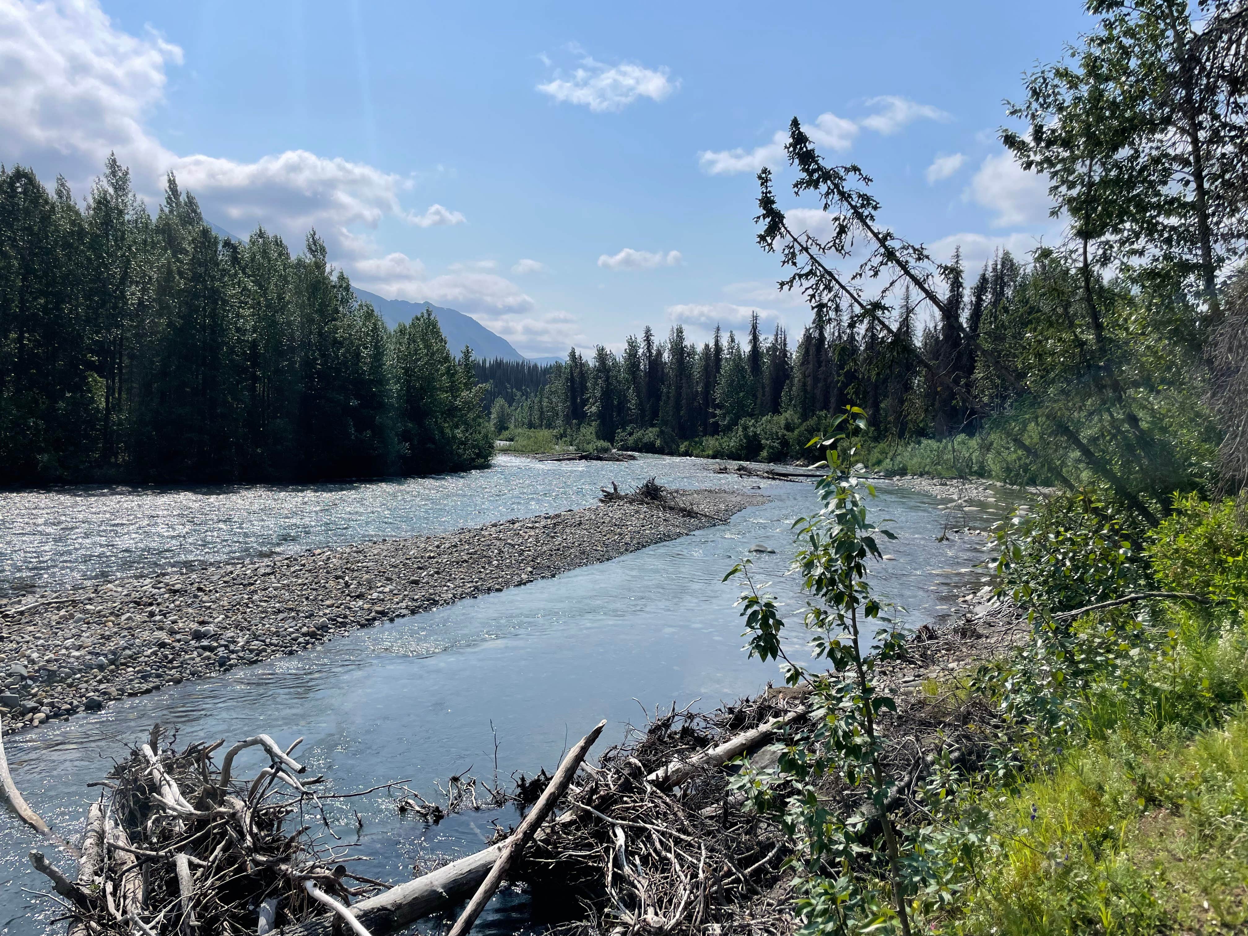 Camper-submitted photo at East Fork Chulitna Wayside near Denali National Park & Preserve
