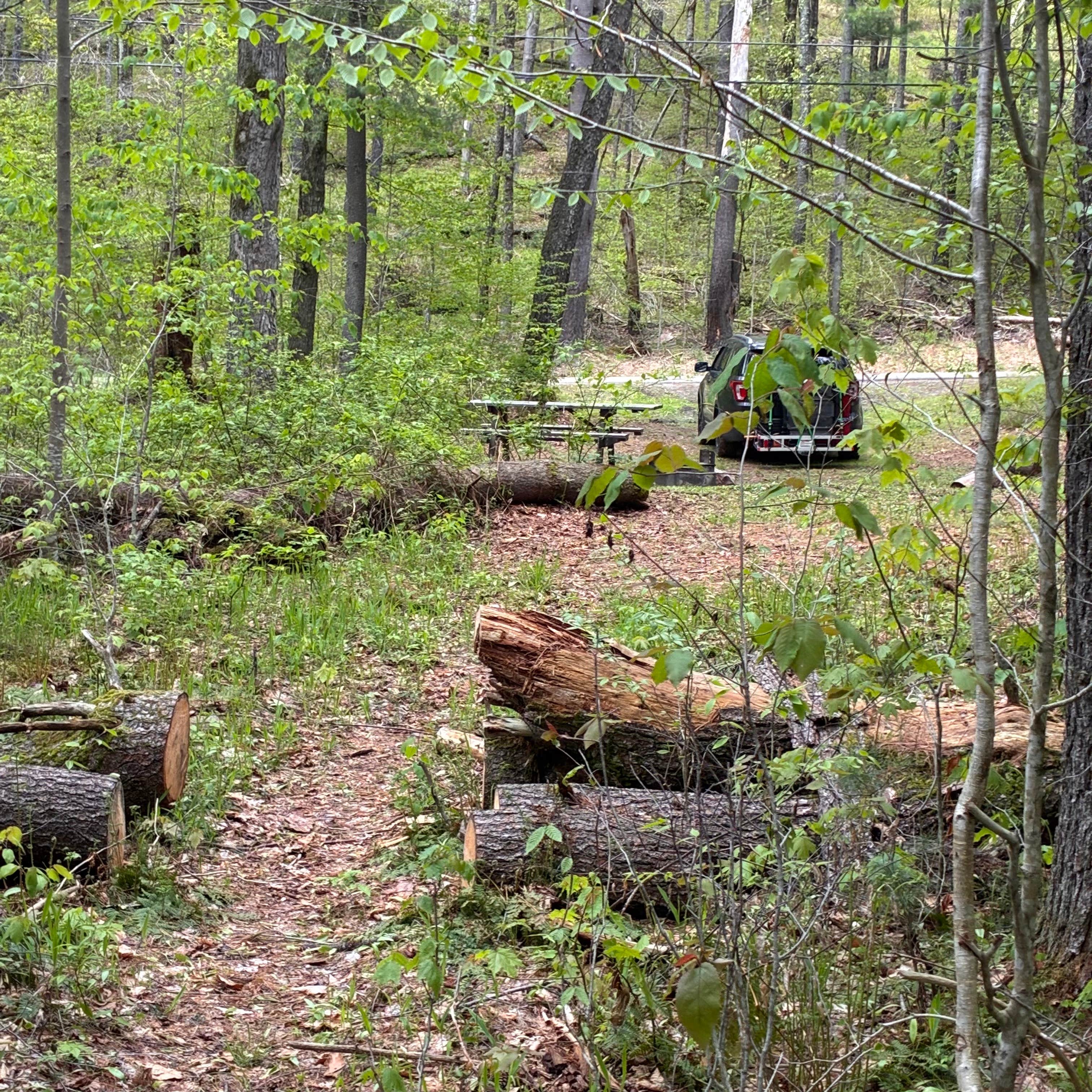 Camper-submitted photo at East Fork Rd Sites — Susquehannock State Forest near Cross Fork, PA