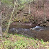 Review photo of East Fork Rd Sites — Susquehannock State Forest by michael R., May 21, 2026