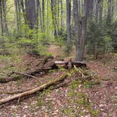 Review photo of East Fork Rd Sites — Susquehannock State Forest by michael R., May 21, 2026