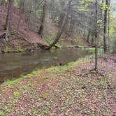Review photo of East Fork Rd Sites — Susquehannock State Forest by michael R., May 21, 2026