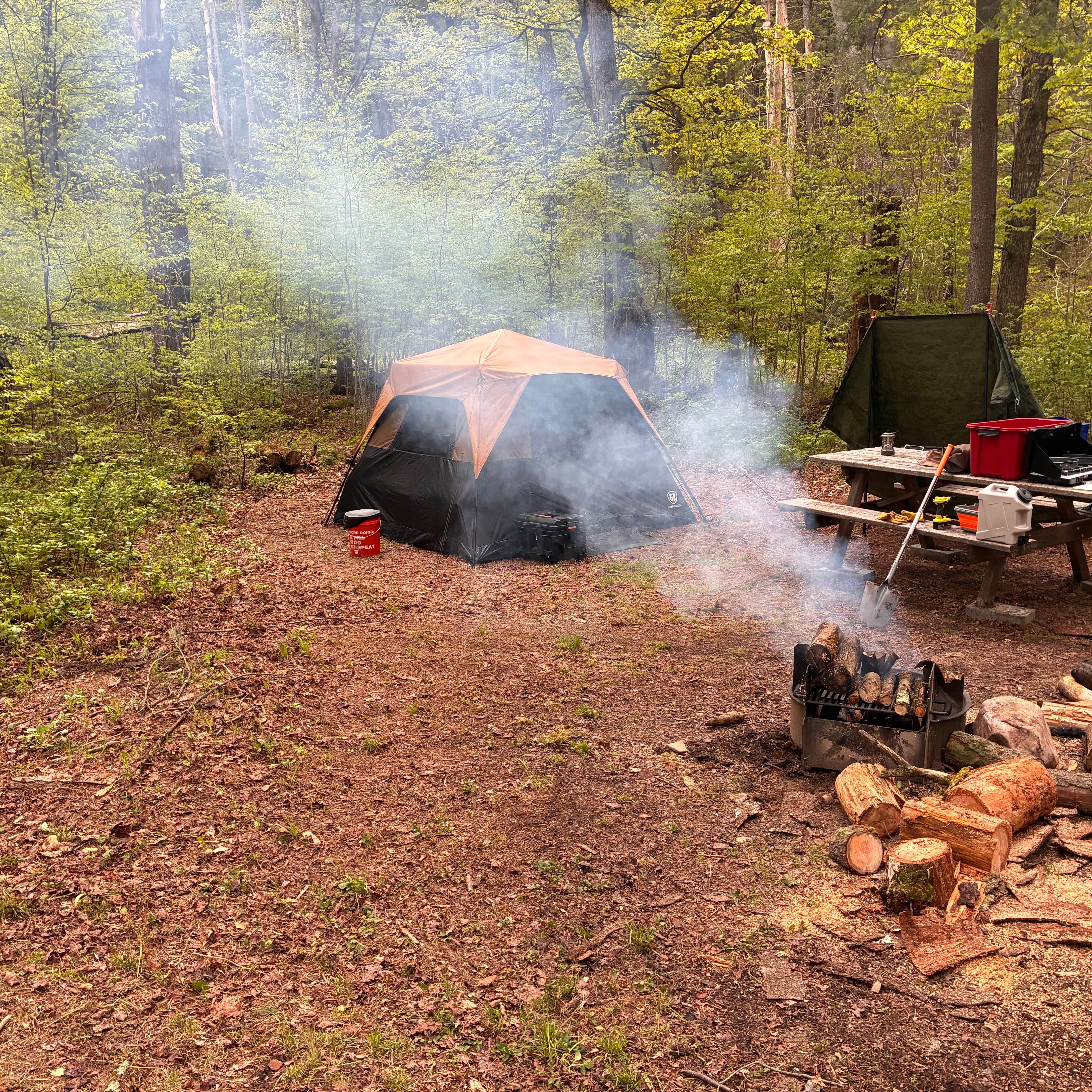 michael R.'s photo at East Fork Rd Sites — Susquehannock State Forest near Emporium, PA