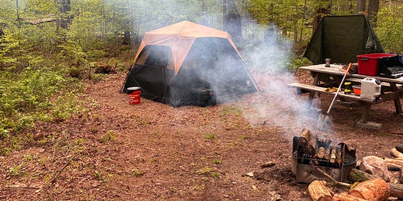 Camper submitted image from East Fork Rd Sites — Susquehannock State Forest
