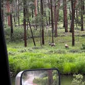 Review photo of Buffalo Crossing Campground by Shane W., July 15, 2024