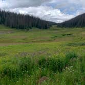 Review photo of East Fork San Juan River, USFS Road 667 - Dispersed Camping by gretchen , June 8, 2024