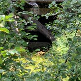 Review photo of East Fork San Juan River, USFS Road 667 - Dispersed Camping by gretchen , June 8, 2024