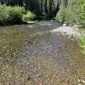 Review photo of East Fork San Juan River, USFS Road 667 - Dispersed Camping by gretchen , June 8, 2024