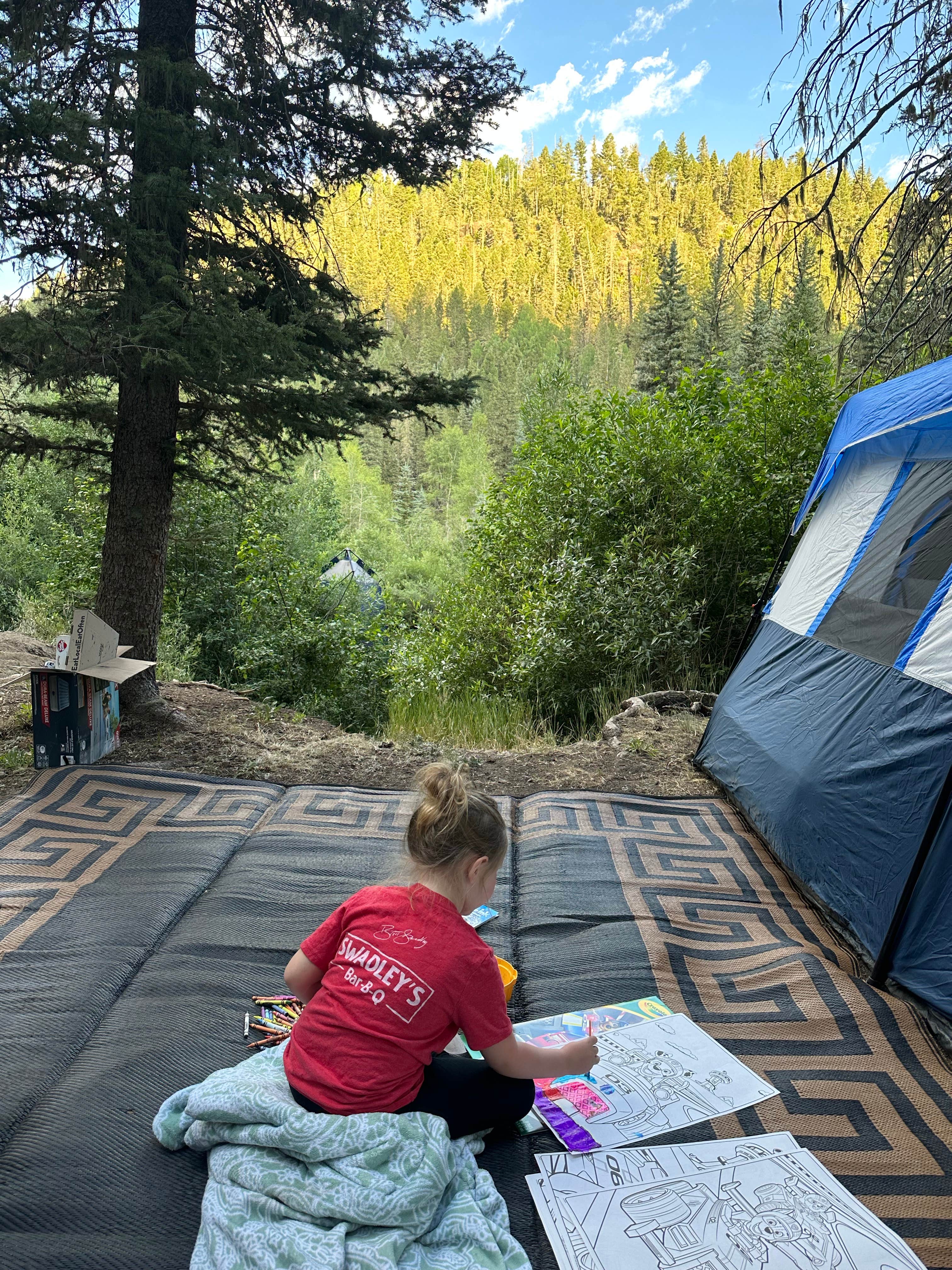 Camper-submitted photo at East Fork San Juan River, USFS Road 667 - Dispersed Camping near Pagosa Springs, CO