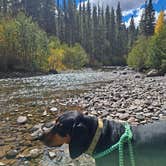 Review photo of East Fork San Juan River, USFS Road 667 - Dispersed Camping by amber H., February 15, 2026