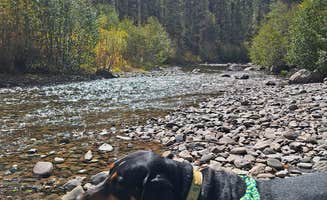 amber H.'s photo of camping with pets at East Fork San Juan River, USFS Road 667 - Dispersed Camping near Pagosa Springs, CO
