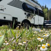 Review photo of East Fork San Juan River, USFS Road 667 - Dispersed Camping by Karla L., June 16, 2025