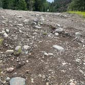 Review photo of East Fork San Juan River, USFS Road 667 - Dispersed Camping by Joe M., July 2, 2025