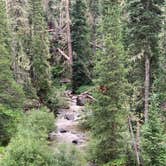 Review photo of East Fork San Juan River, USFS Road 667 - Dispersed Camping by gretchen , June 8, 2024