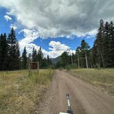 Review photo of East Fork San Juan River, USFS Road 667 - Dispersed Camping by gretchen , June 8, 2024