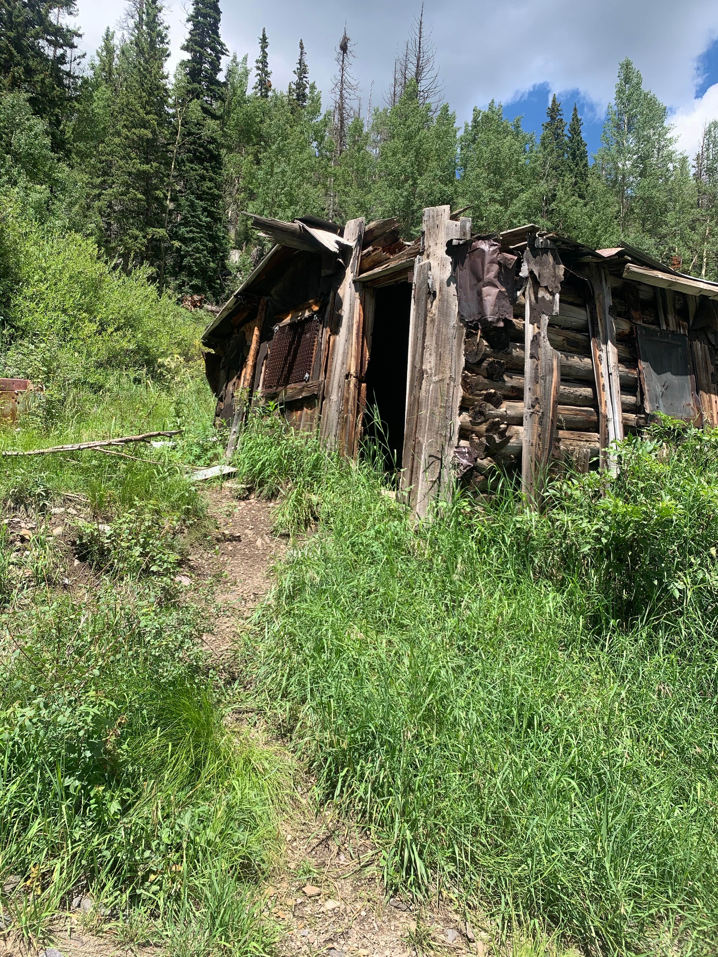 Camper submitted image from East Fork San Juan River, USFS Road 667 - Dispersed Camping - 5