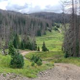 Review photo of East Fork San Juan River, USFS Road 667 - Dispersed Camping by gretchen , June 8, 2024