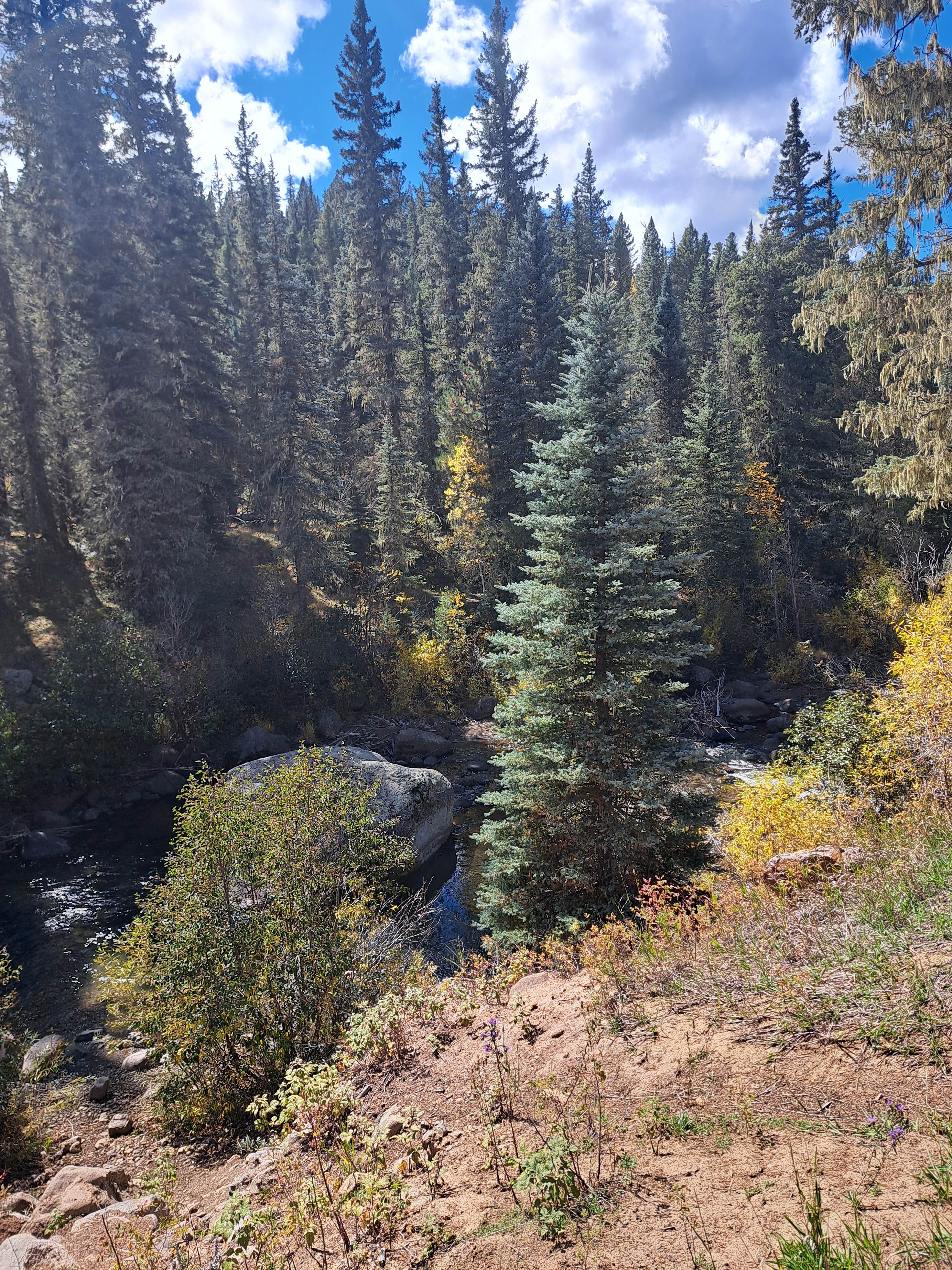 East Fork San Juan River, USFS Road 667 - Dispersed Camping