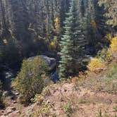 Review photo of East Fork San Juan River, USFS Road 667 - Dispersed Camping by amber H., February 15, 2026