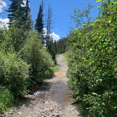 Review photo of East Fork San Juan River, USFS Road 667 - Dispersed Camping by gretchen , June 8, 2024