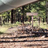 Review photo of East Fort Valley Camping on Forest Road 6051 by Victoria J., September 27, 2024