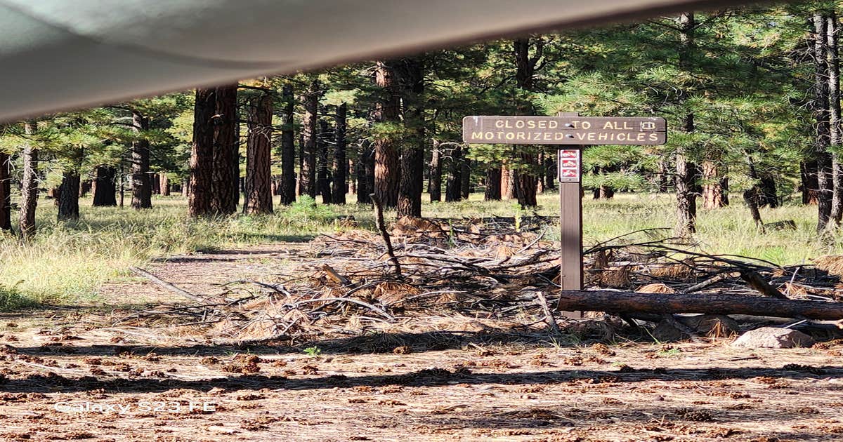 East Fort Valley Camping on Forest Road 6051