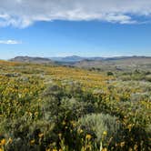 Review photo of East Humboldt Wilderness Dispersed Camping by Spencer , June 9, 2025