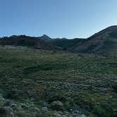 Review photo of East Humboldt Wilderness Dispersed Camping by Grayce F., June 28, 2025