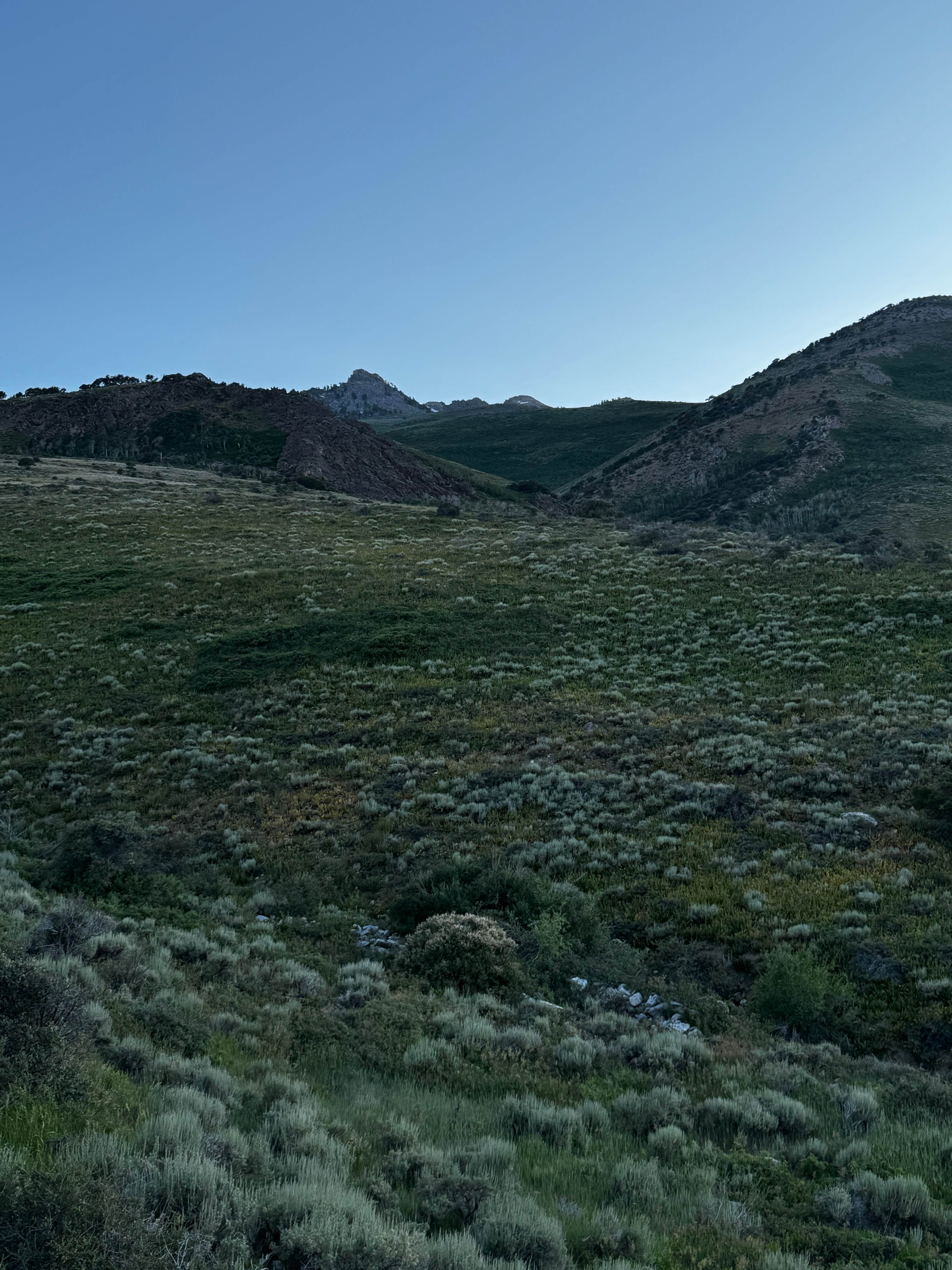 Camper submitted image from East Humboldt Wilderness Dispersed Camping - 1