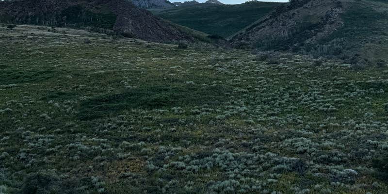 Camper submitted image from East Humboldt Wilderness Dispersed Camping