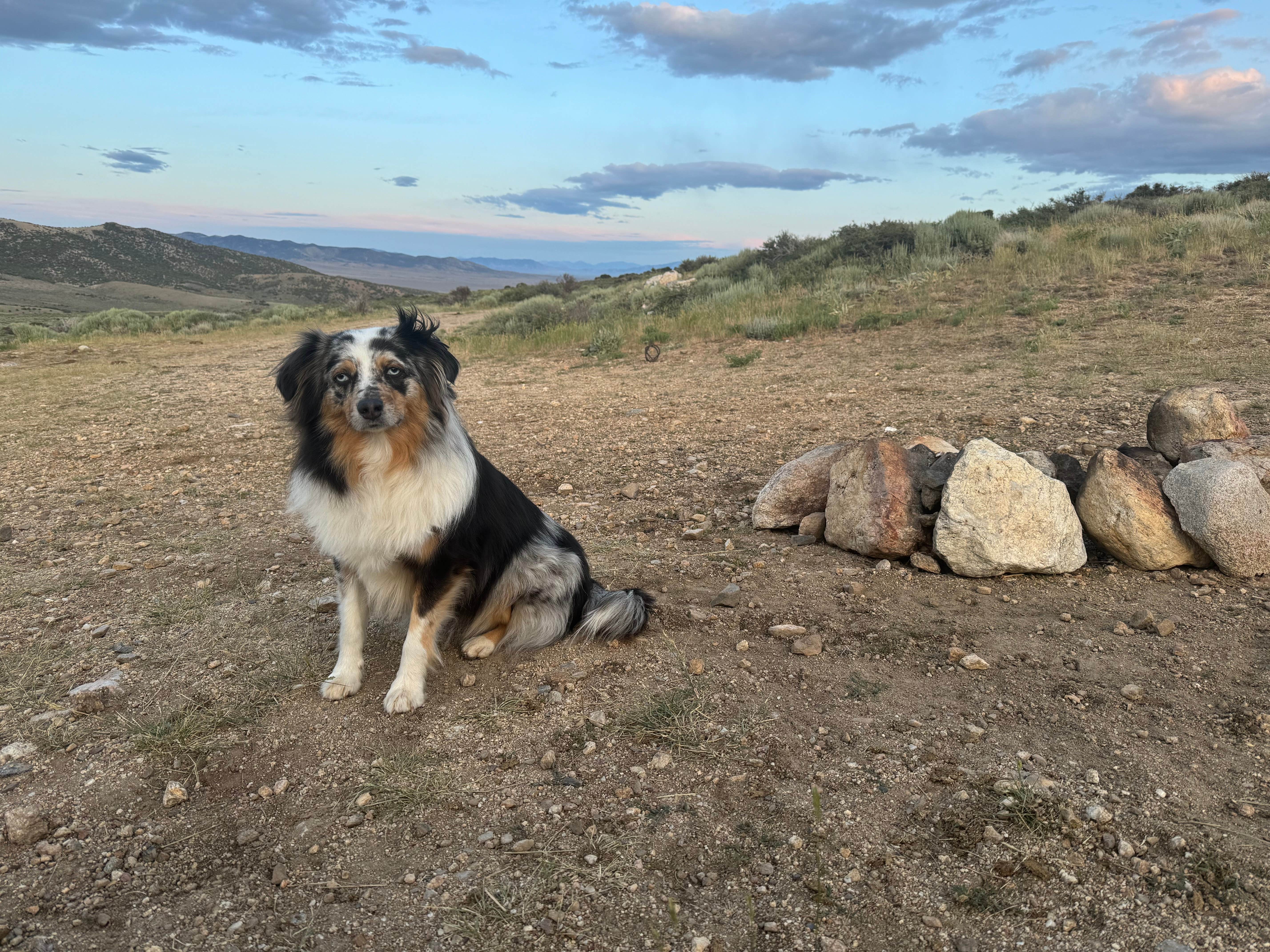 Camper-submitted photo at East Humboldt Wilderness Dispersed Camping near Lamoille, NV