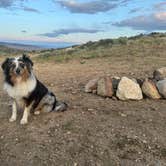 Review photo of East Humboldt Wilderness Dispersed Camping by Sadie O., June 24, 2025