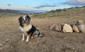 Sadie O.'s photo of camping with pets at East Humboldt Wilderness Dispersed Camping near Spring Creek, NV