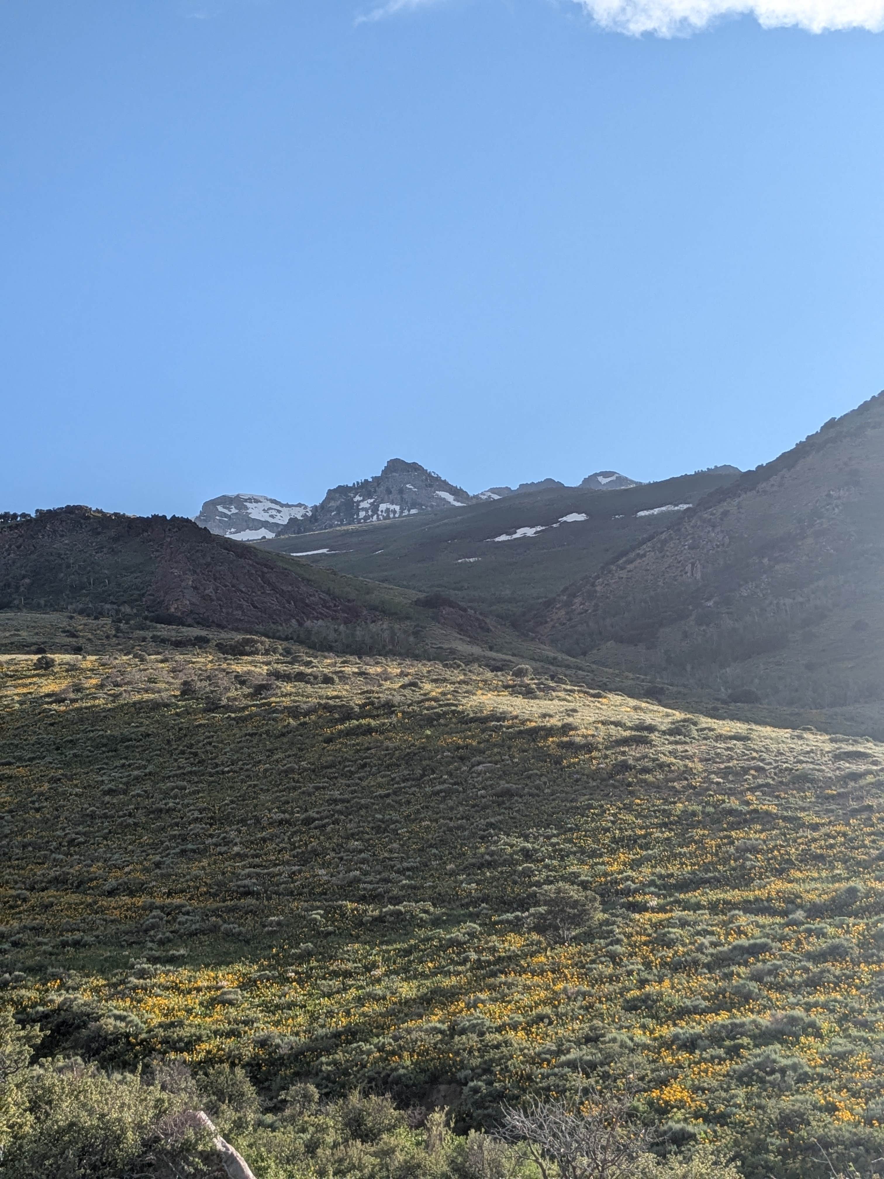 Camper-submitted photo at East Humboldt Wilderness Dispersed Camping near Lamoille, NV