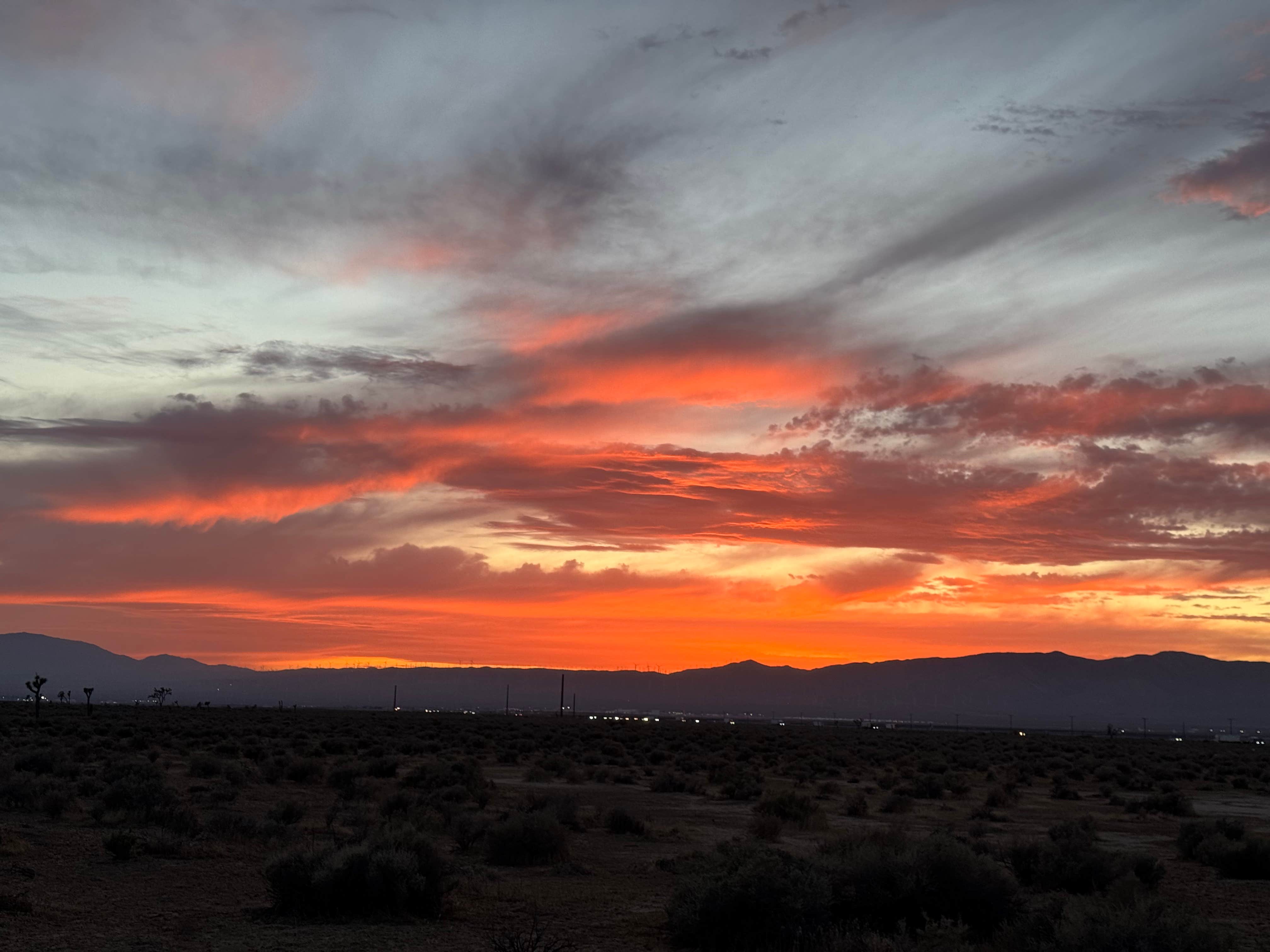 Camper submitted image from East Mojave Camp - 1